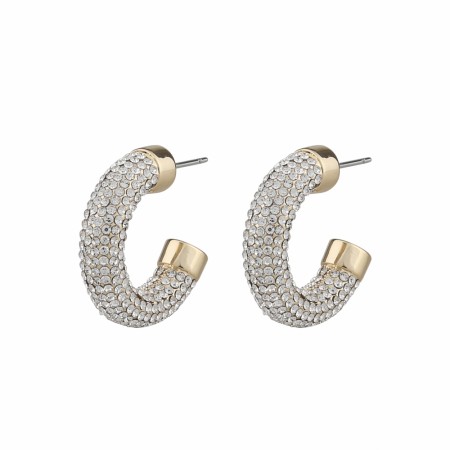 SNÖ Wednesday big oval earring gold/clear hoops