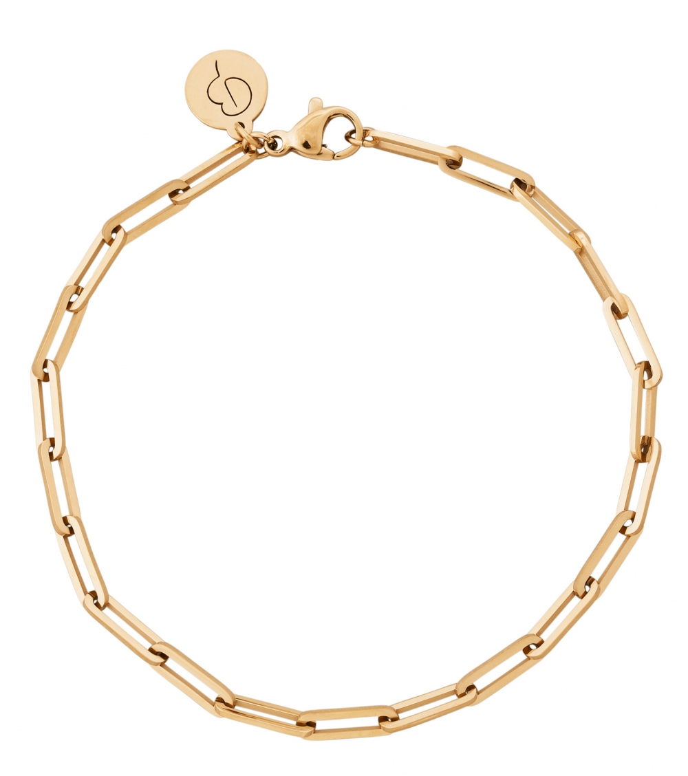 Ivy Bracelet fra Edblad er et delikat lenkearmbånd i gullbelagt stål. Dette perfekte armbåndet piffer opp dine antrekk på et blunk, og armbåndet vil garantert passe til enhver anledning og årstid. Et must-have i smykkesamlingen din.